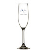 MB Welcome on board Champagne glas 236ml